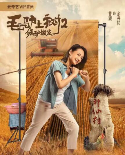 gay欧美男同