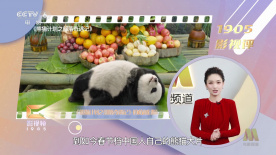 大学生的外出工作